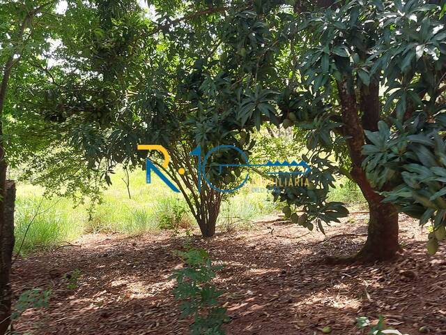 Chácara para Venda em Londrina - 4