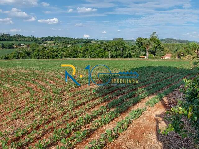 Sítio para Venda em Londrina - 4