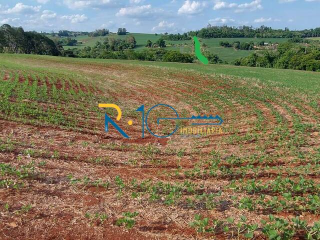 Sítio para Venda em Londrina - 5