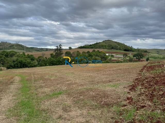 Chácara para Venda em Londrina - 4