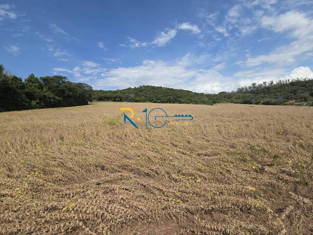 #677 - Sítio para Venda em Londrina - PR - 1