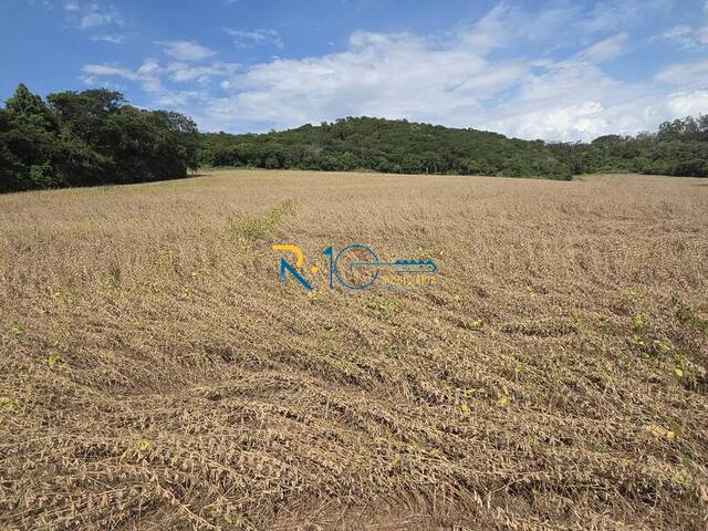 #677 - Sítio para Venda em Londrina - PR - 2