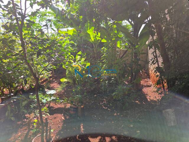 Terreno para Venda em Londrina - 4