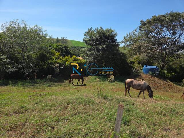 #694 - Fazenda para Venda em Sertanópolis - PR - 2