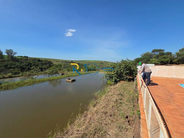 #694 - Fazenda para Venda em Sertanópolis - PR - 3