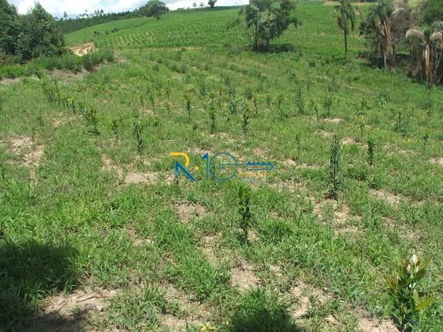 #701 - Sítio para Venda em Reserva - PR - 3