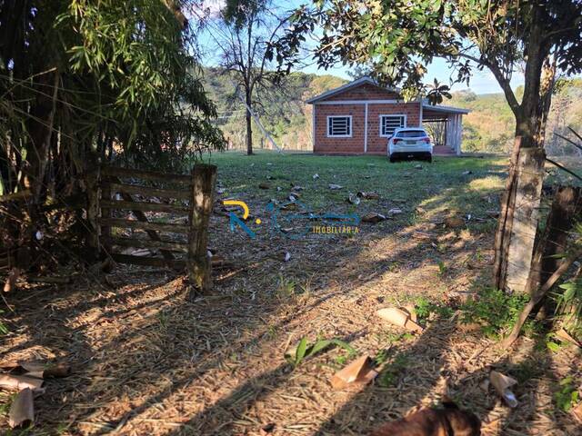 #703 - Sítio para Venda em Tamarana - PR - 1