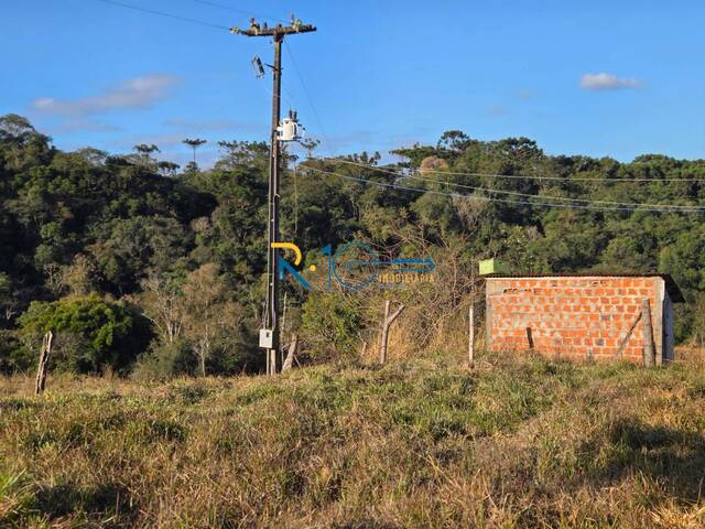 Sítio para Venda em Tamarana - 4