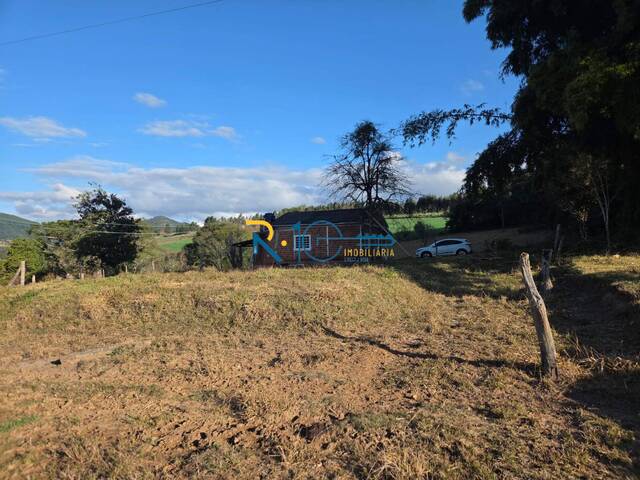 #703 - Sítio para Venda em Tamarana - PR - 3