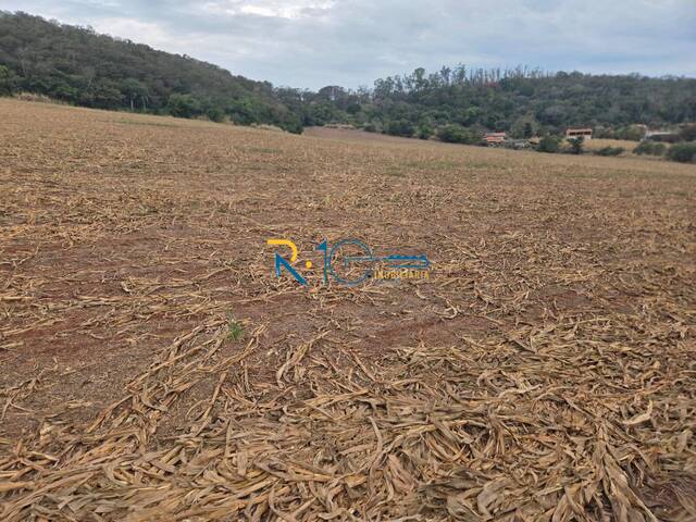 #677 - Sítio para Venda em Londrina - PR - 3