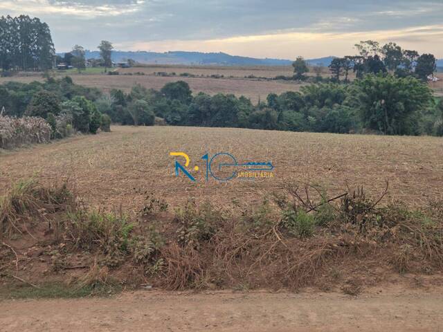 Sítio para Venda em Londrina - 4