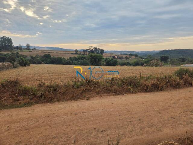 #677 - Sítio para Venda em Londrina - PR - 1