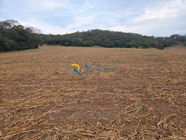 Sítio para Venda em Londrina - 5