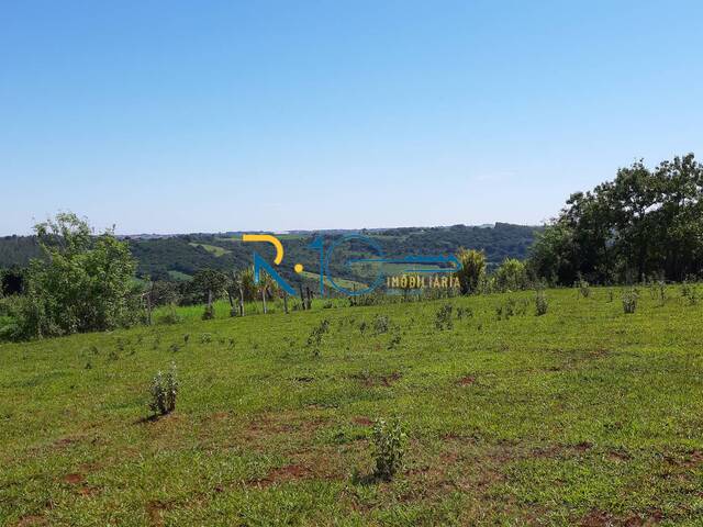 #711 - Chácara para Venda em Londrina - PR - 3