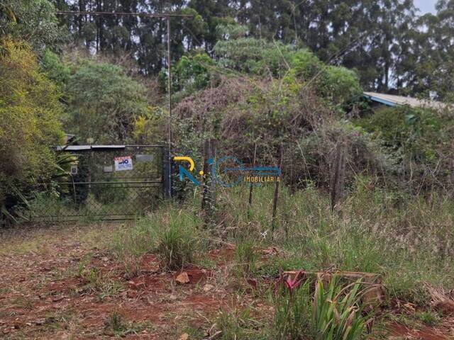 #704 - Chácara para Venda em Londrina - PR - 2