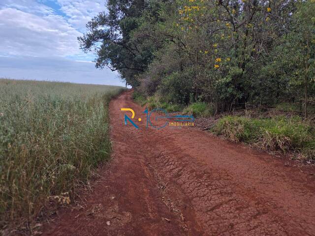 Chácara para Venda em Londrina - 4