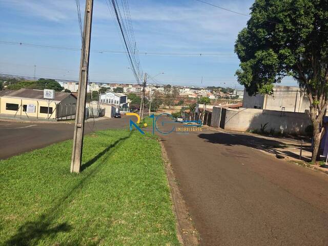 #722 - Terreno para Venda em Londrina - PR - 3