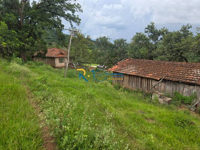 Sítio para Venda em Londrina - 5