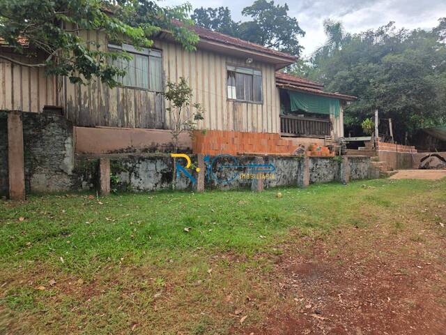 #445 - Sítio para Venda em Londrina - PR - 3
