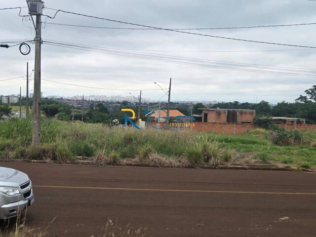 Terreno para Venda em Londrina - 4