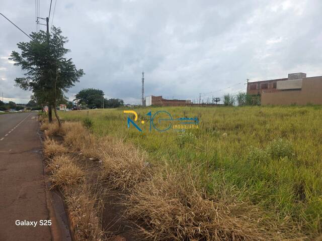 Terreno para Venda em Londrina - 2