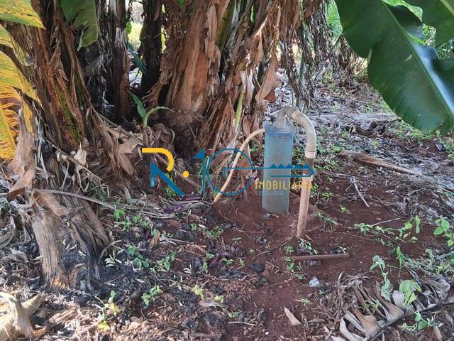 #743 - Chácara para Venda em Londrina - PR - 1