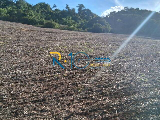 #744 - Sítio para Venda em Londrina - PR - 1