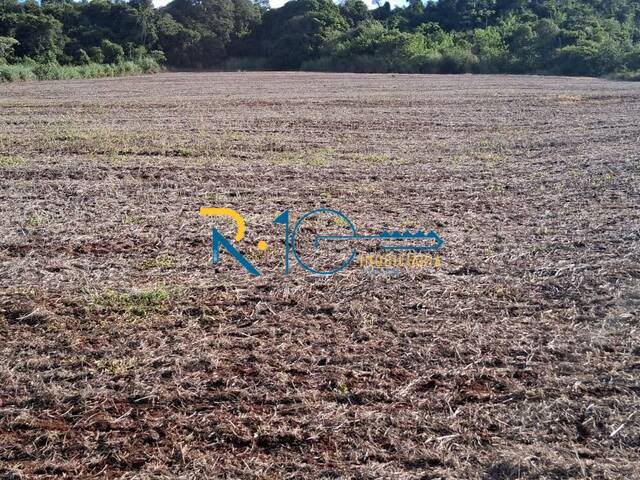 #744 - Sítio para Venda em Londrina - PR - 2