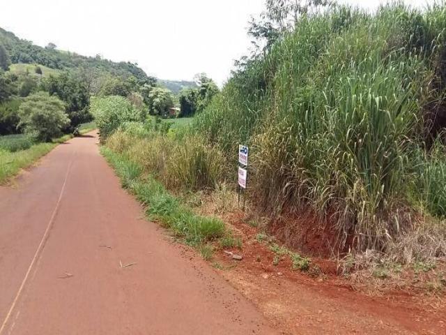 #040 - Sítio para Venda em Londrina - PR - 1