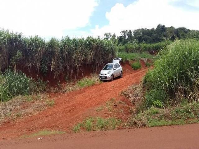 #040 - Sítio para Venda em Londrina - PR - 3