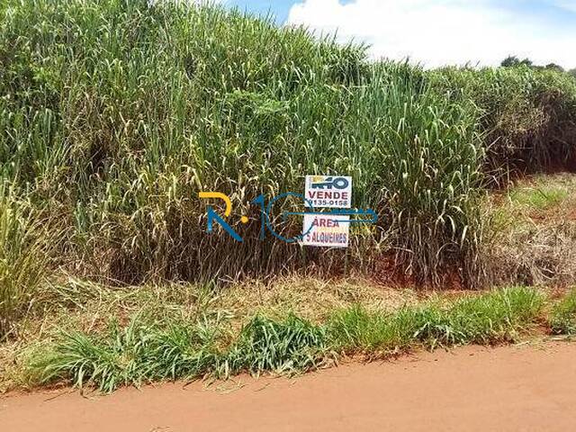 Sítio para Venda em Londrina - 4